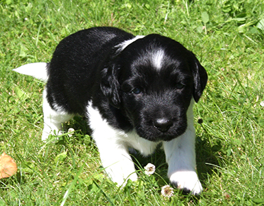 Jeger ensimmäistä kertaa ulkona